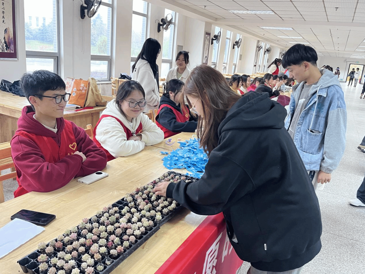 E5A274C079624129F6C153EDFEF_C7363A02_9B8C8