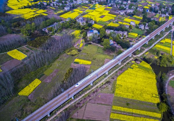 152876D8BBA71DD6179C431358A_6D6E86D2_10B61.jpg?e=