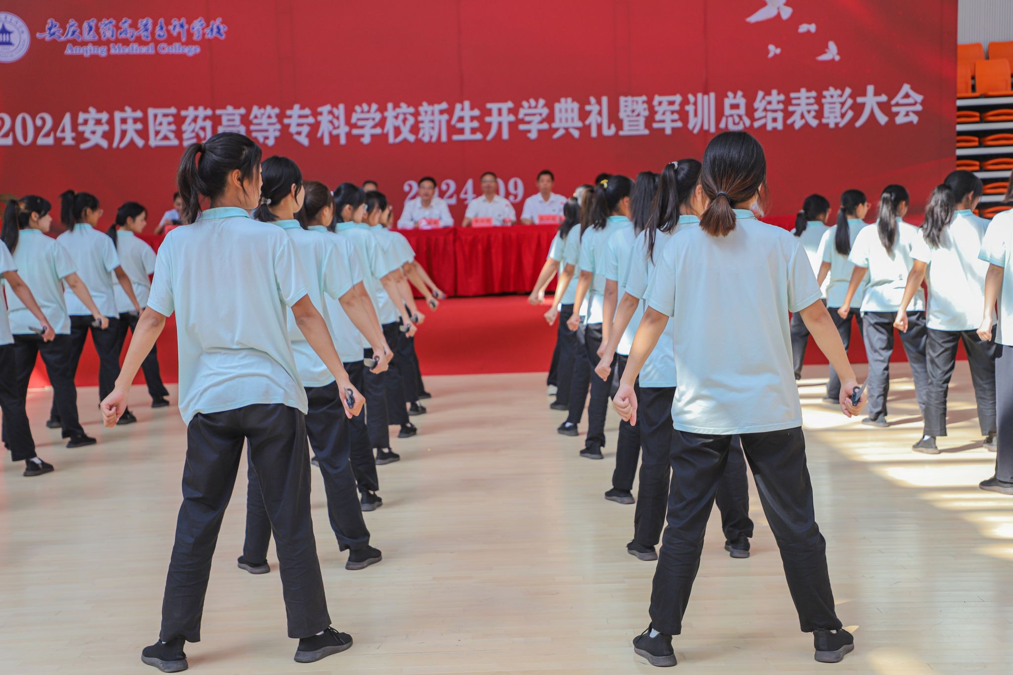 2BBE511C99CC3F31195D574A11B_4AF52664_4259D