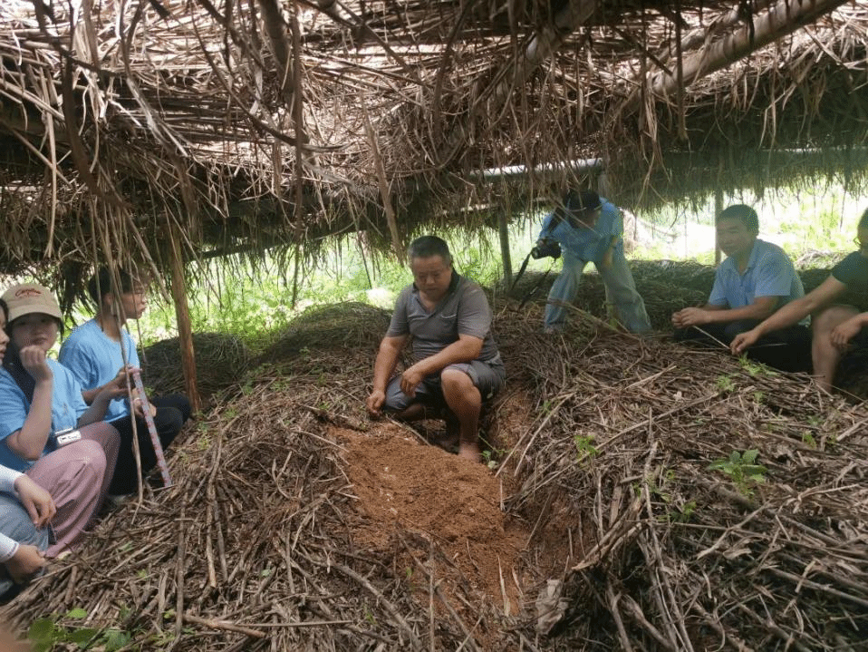 BA3B563CD16B794D512B2EBB9CA_7FF35A0D_82876