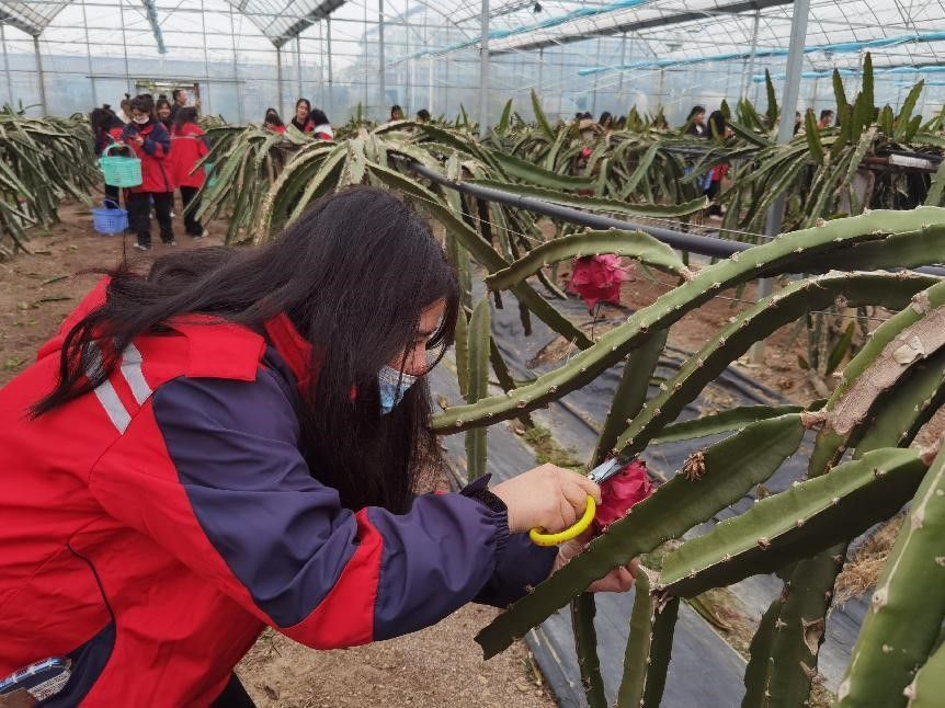 44ECC7234033A9EC6262AA2D04F_566C8F83_1E33B