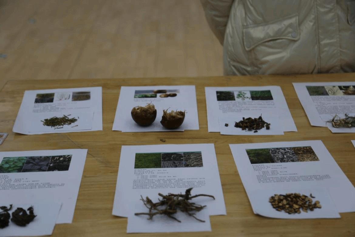 4D47131D0D9FC1BF4DC2D99718B_E0A1A0F8_4B6FF