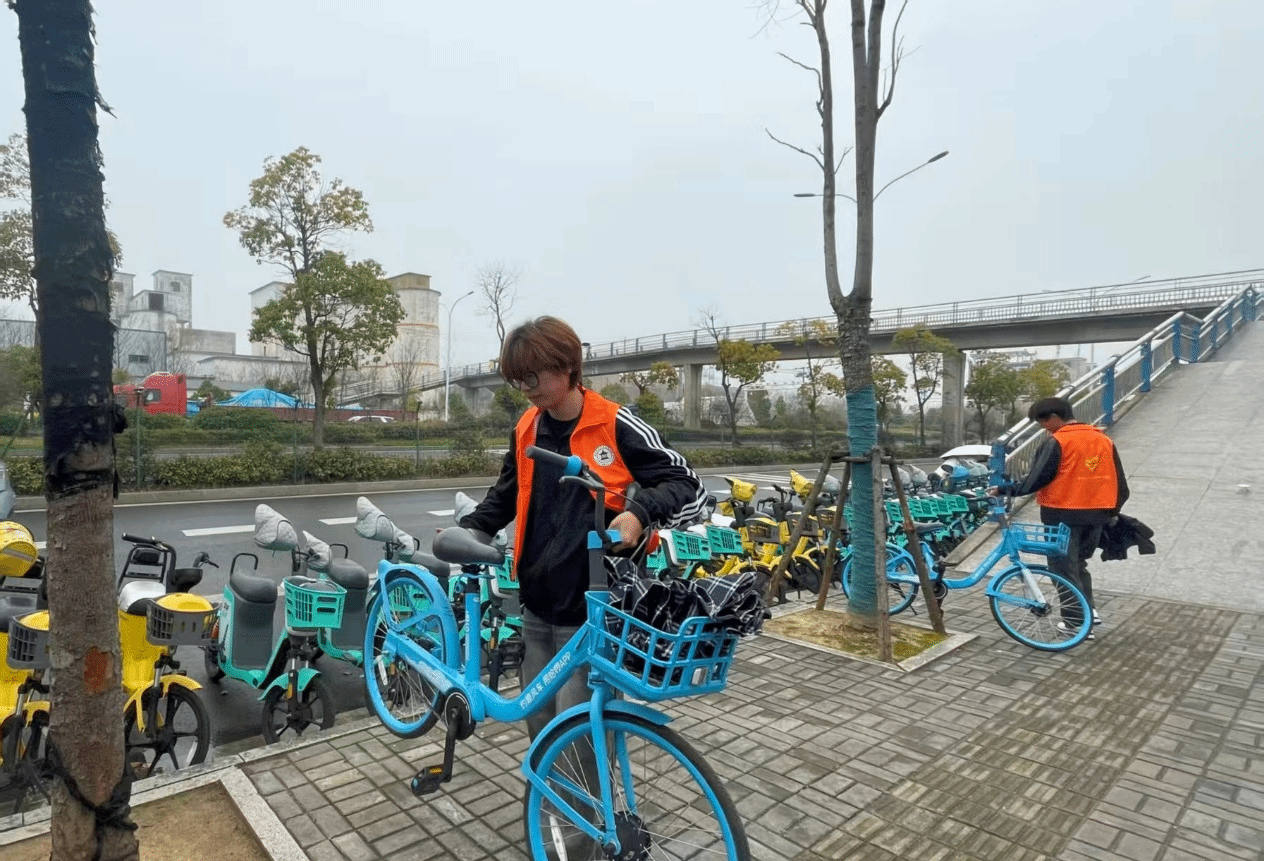 08B7C743FB4B8E2B5465B8B796C_27261028_7CE98