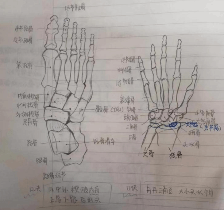 1D14163DA730BCE0542CD57094A_B6D1BC72_31333