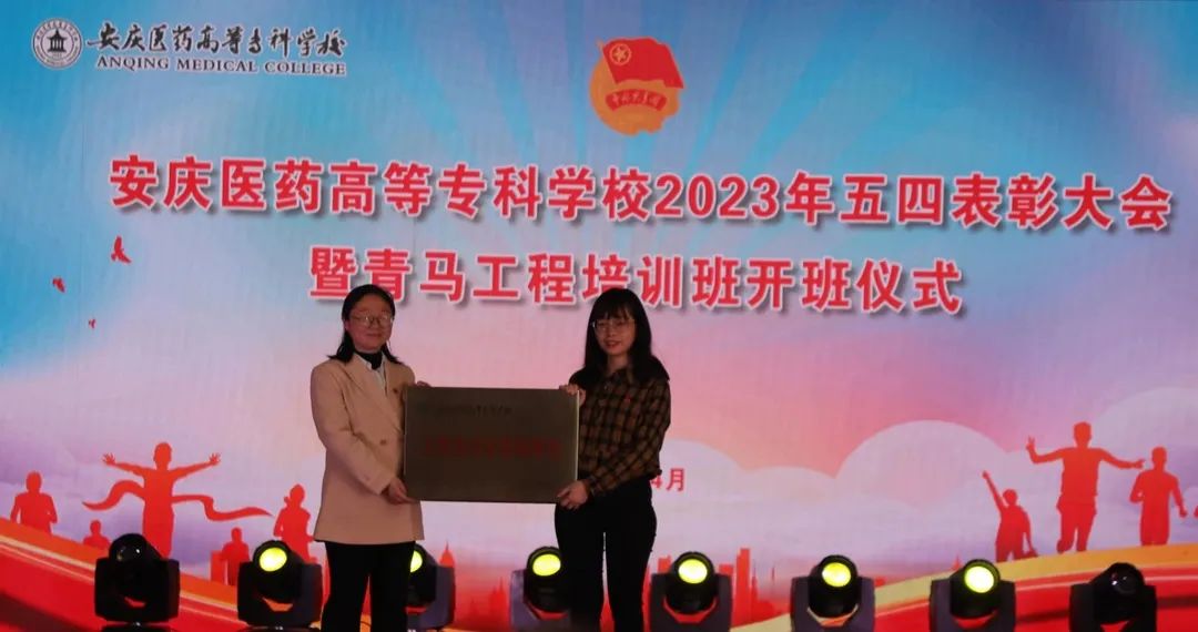 84BB4925C1DCA617FB6BB8C503D_66259B7E_11861