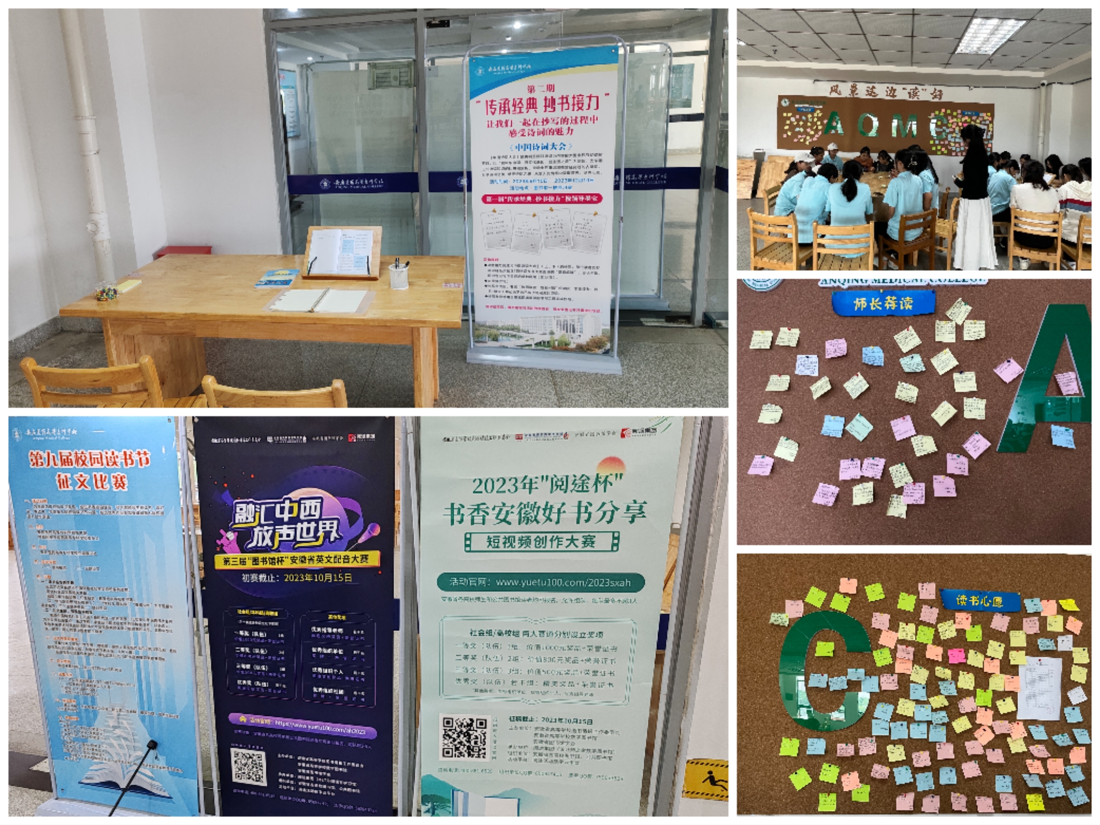 8C0F93AC4D8548404745646E6DF_A2C4A4B4_1FA210