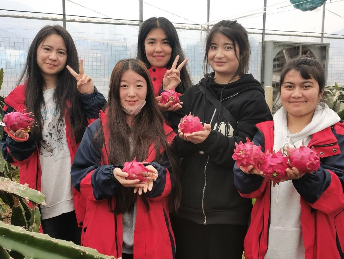 4FCAFE79935BAA855E30829E676_43B3125D_29A47