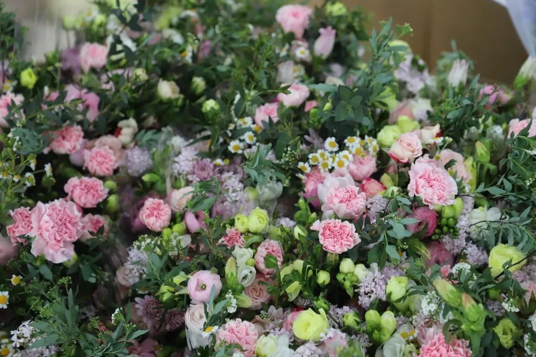 450079755C7B2B6B10DB8A3FBB2_03F2F7F9_2538C